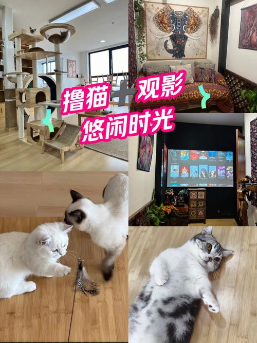隔壁老王毛片的相关介绍