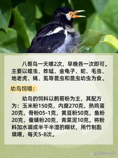 大尺度裸体图片的相关介绍