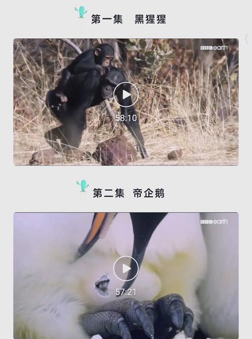 日本波老师的相关介绍