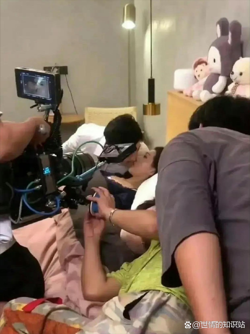 老司机精品影院影院的相关介绍