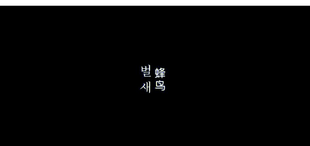 色琪琪国产精品的相关介绍