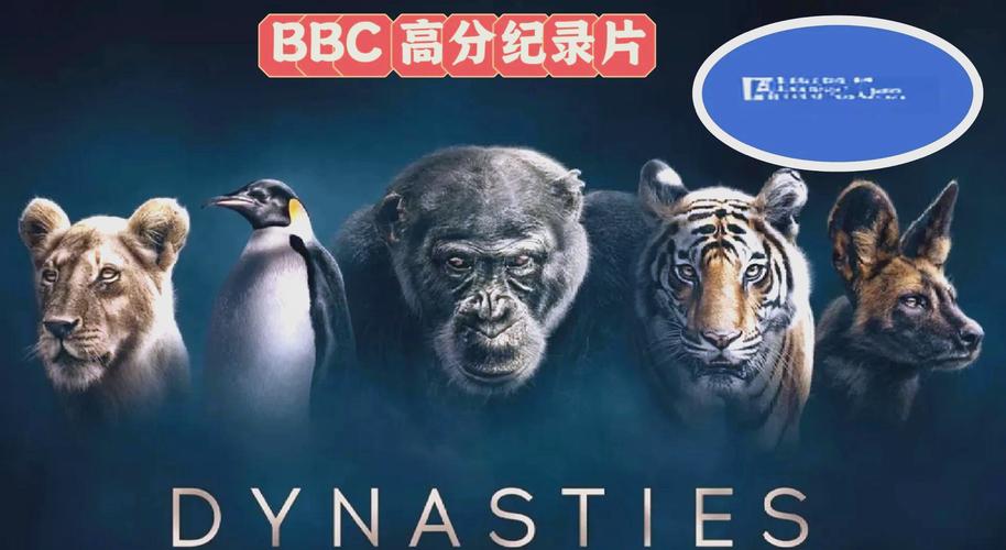 古装全套毛片的相关介绍
