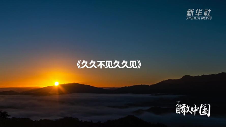 jvid视频app下载的相关介绍