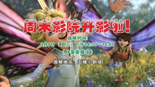 李宁超轻18女的相关介绍