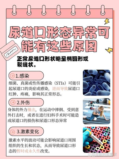 日本老熟妇av的相关介绍