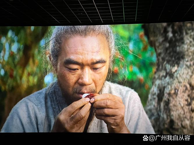 18+动漫app的相关介绍