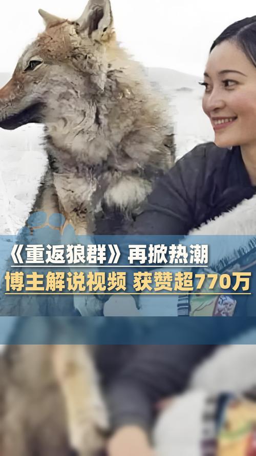 熟女人妻首页在线的相关介绍