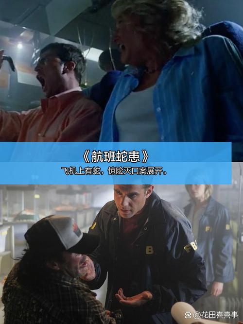 av一级淫片的相关介绍