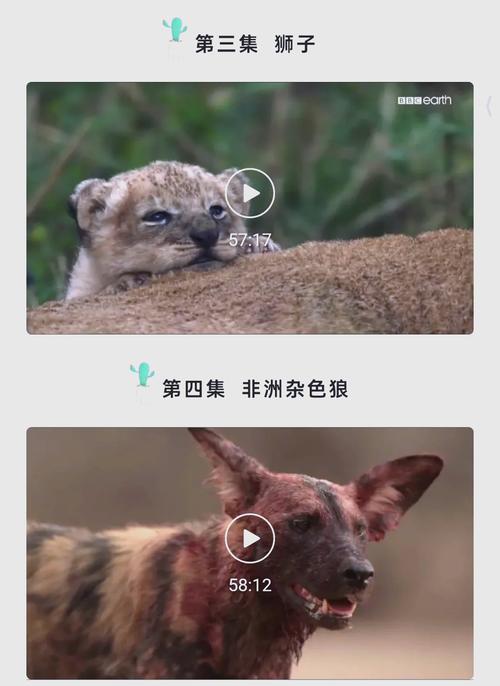 13 14俄罗斯毛片基地的相关介绍