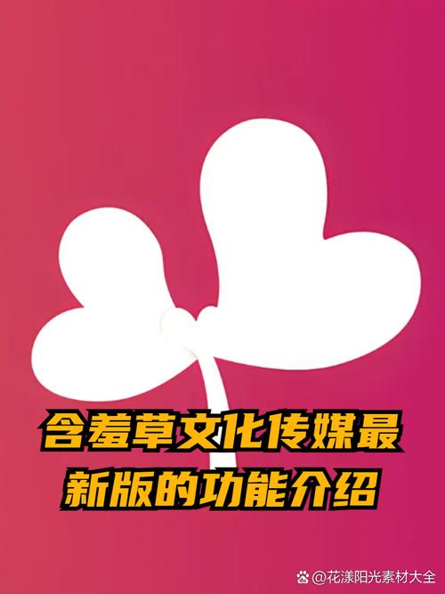 spa偷拍伦理片的相关介绍