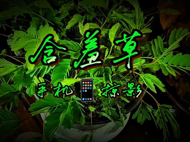 调教凌辱辣文的相关介绍