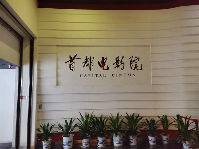 肥胖女人特黄aaaaa片的相关介绍