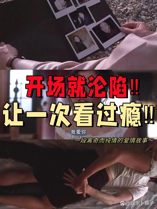 女人的逼逼免费观看的相关介绍