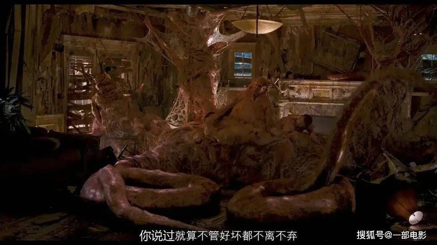 性感少妇白浆的相关介绍
