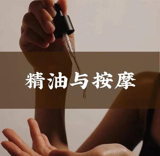 狼群影院中文字幕的相关介绍