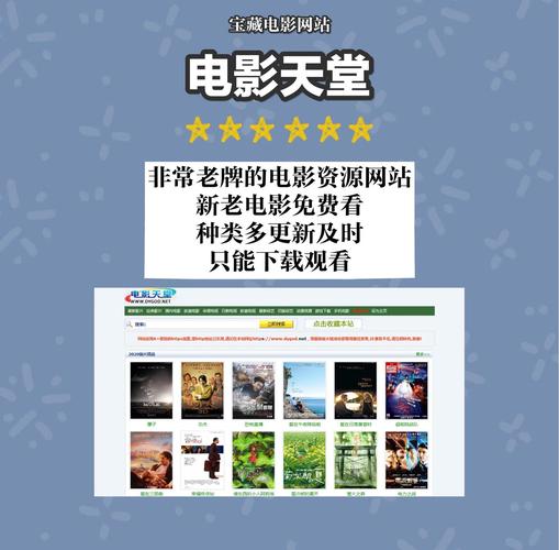 神马影院手机在线观看真心网的相关介绍