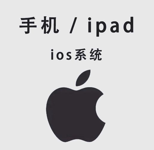 麻花影院官网的相关介绍