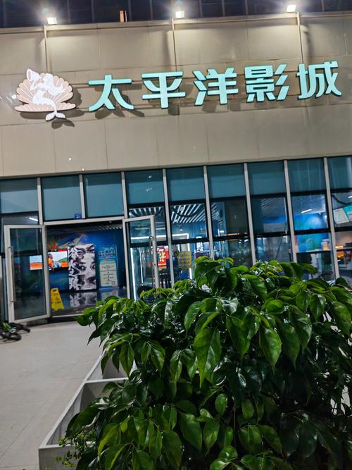 6精品久久久的相关介绍