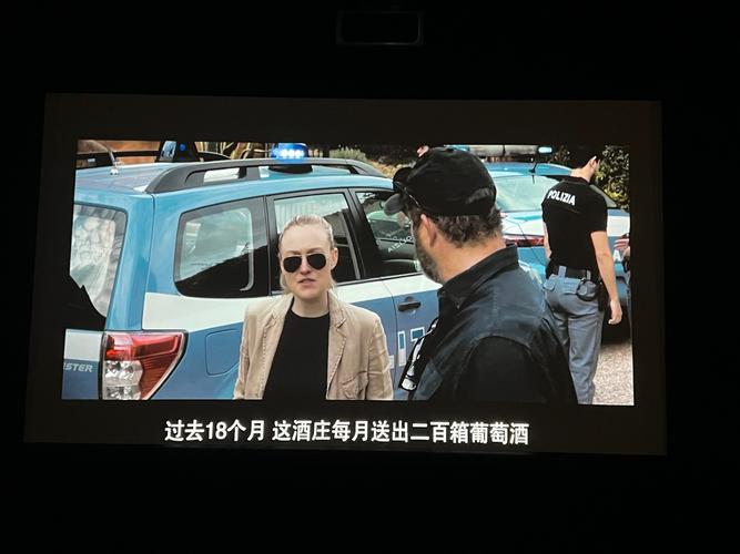老司机影院天堂伦的相关介绍