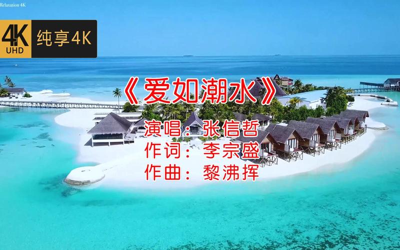 极速影院精简版下的相关介绍