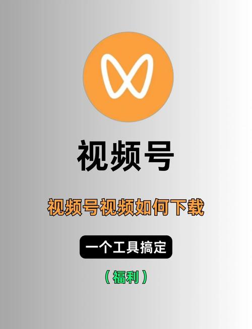 飘花电影院手机影的相关介绍