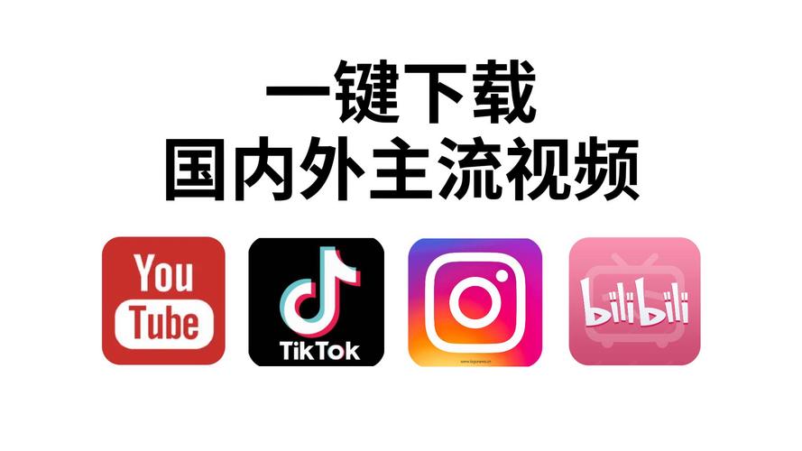 少熟妇av的相关介绍