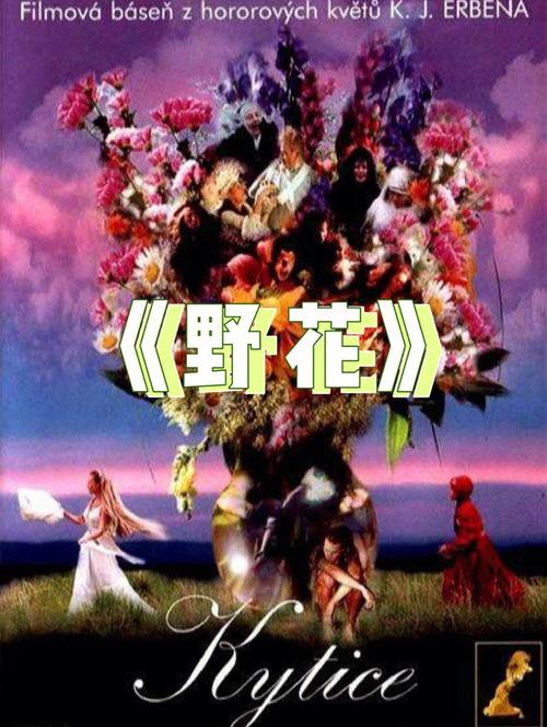久久精品亚洲男人天堂激情的相关介绍