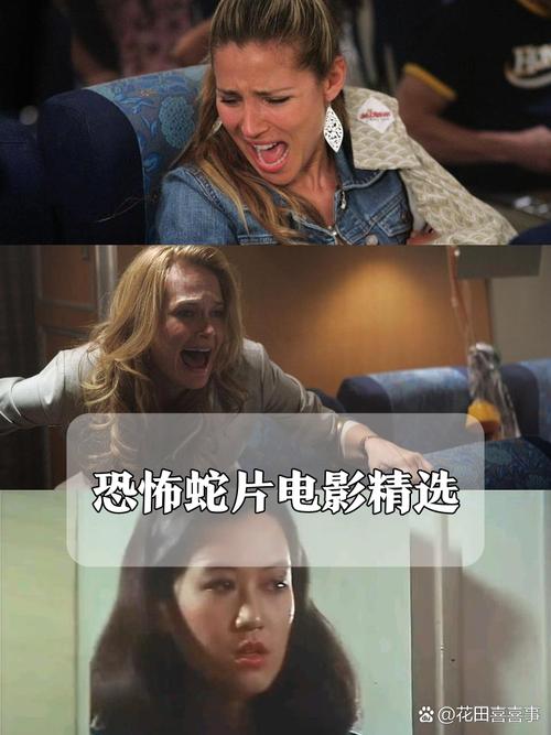 18摸下载app的相关介绍