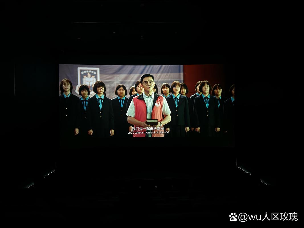 偷偷撸影院的相关介绍