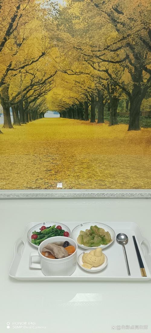 久久人91精品久久久久久不卡的相关介绍