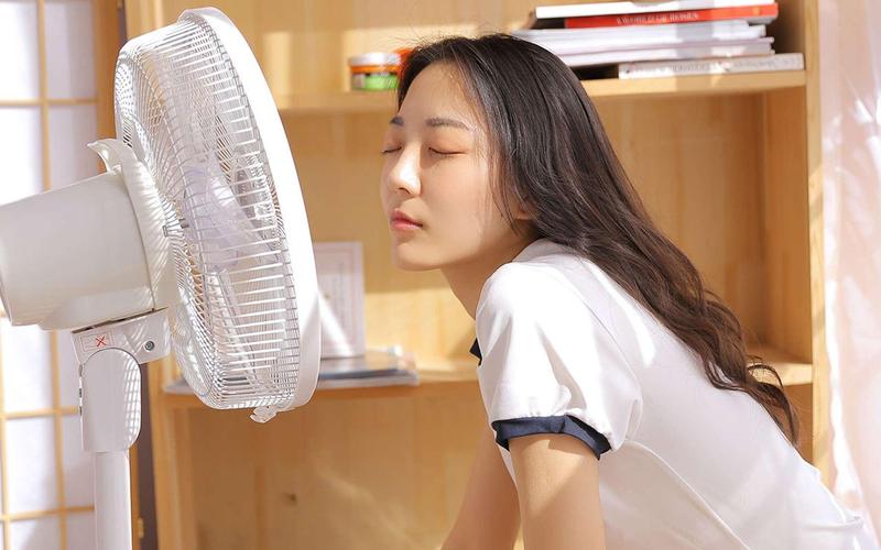 国产精品色妹子的相关介绍