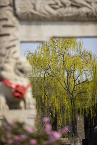 闪闪影院在线观看热门电影电视剧全集 | 最新高清影视资源 | 免费追剧平台推荐