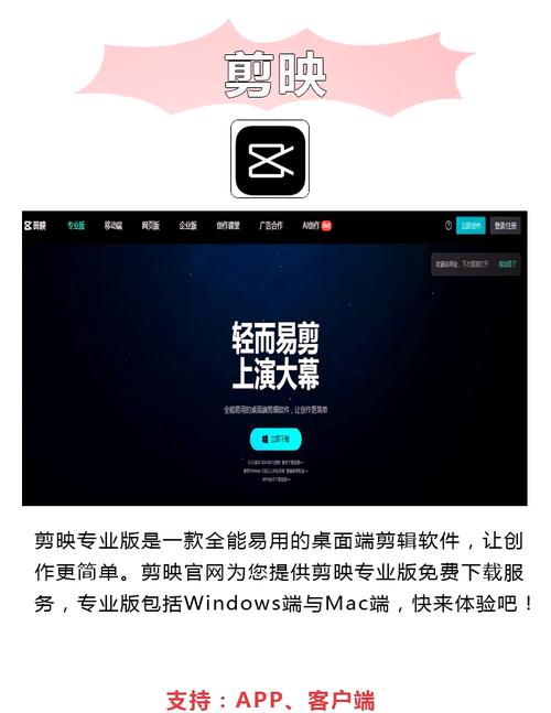 巨乳美女被人操的相关介绍
