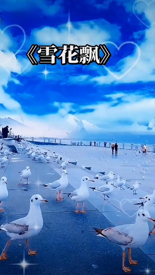 我的老师是美女的相关介绍