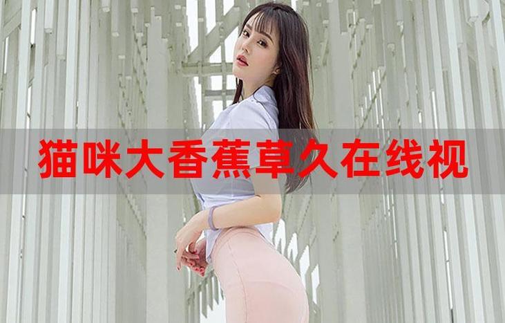 婷婷福利午夜影院的相关介绍