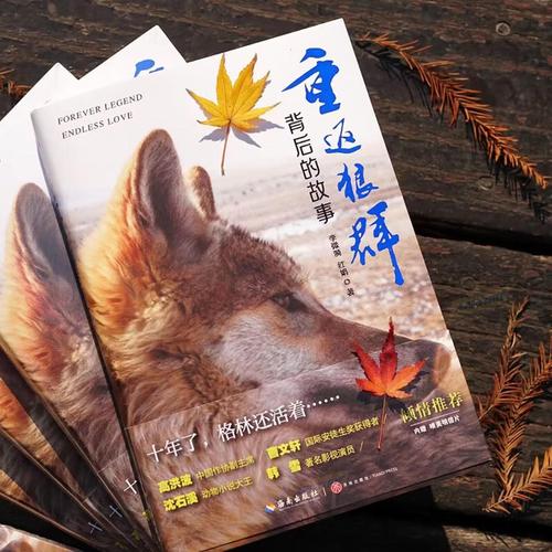 亚洲少妇中出一区的相关介绍