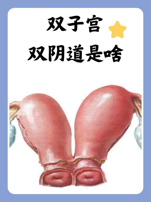 一边亲一边摸—边做的相关介绍