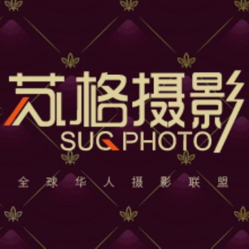 天码人妻的相关介绍