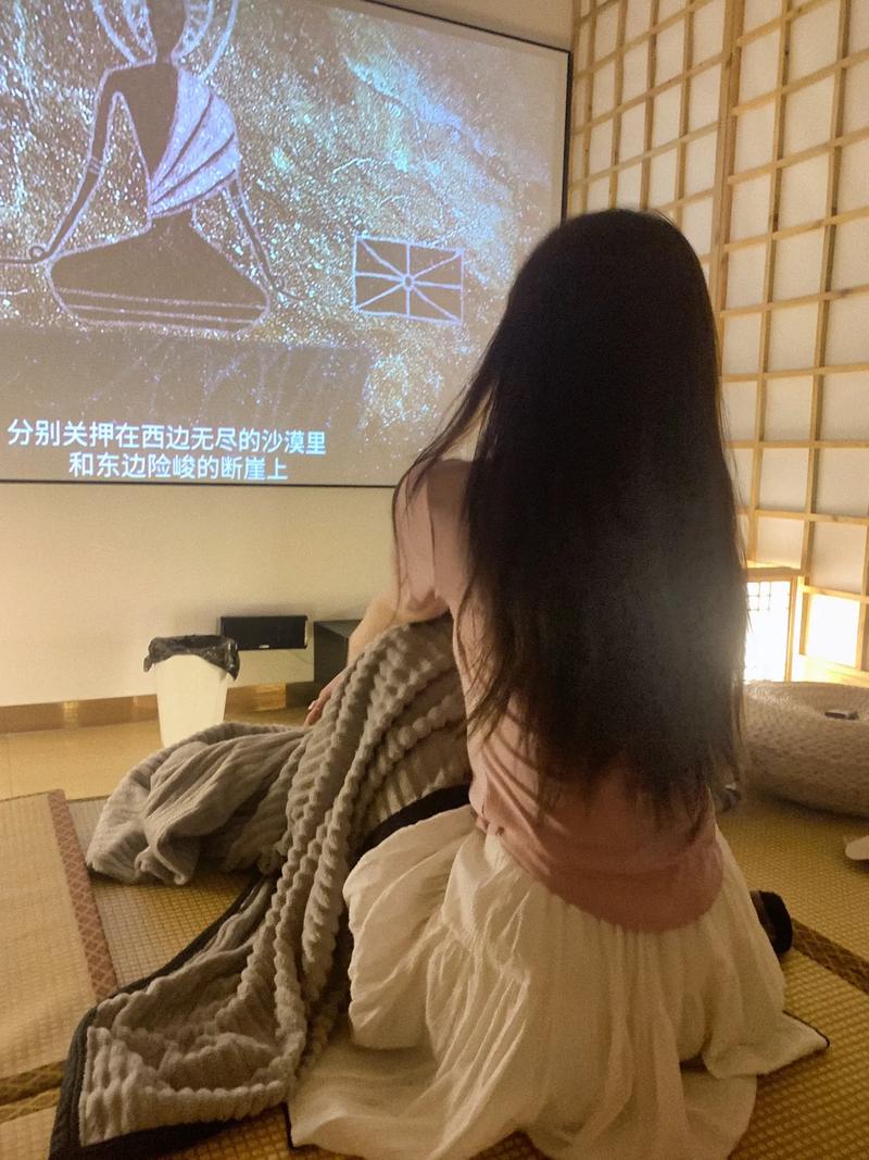 4d影院的相关介绍