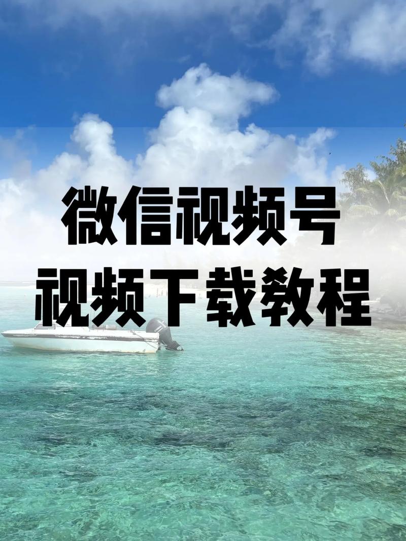 爱逼影院的相关介绍