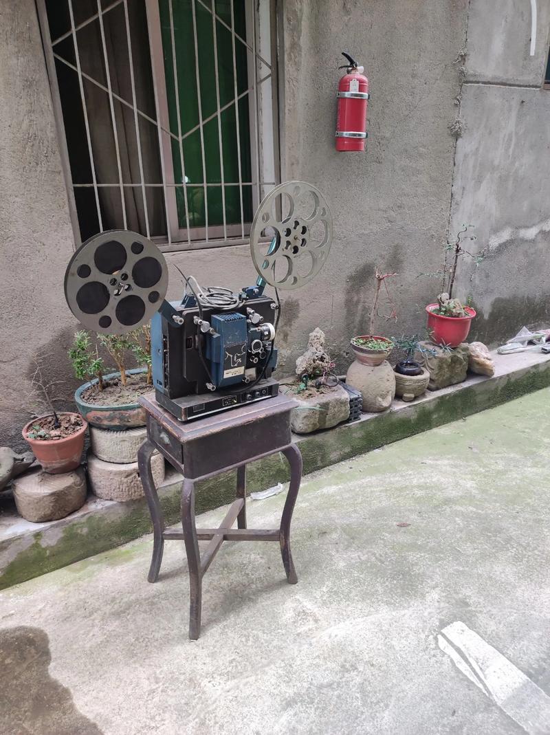 达达达达兔电影院在线观看的相关介绍