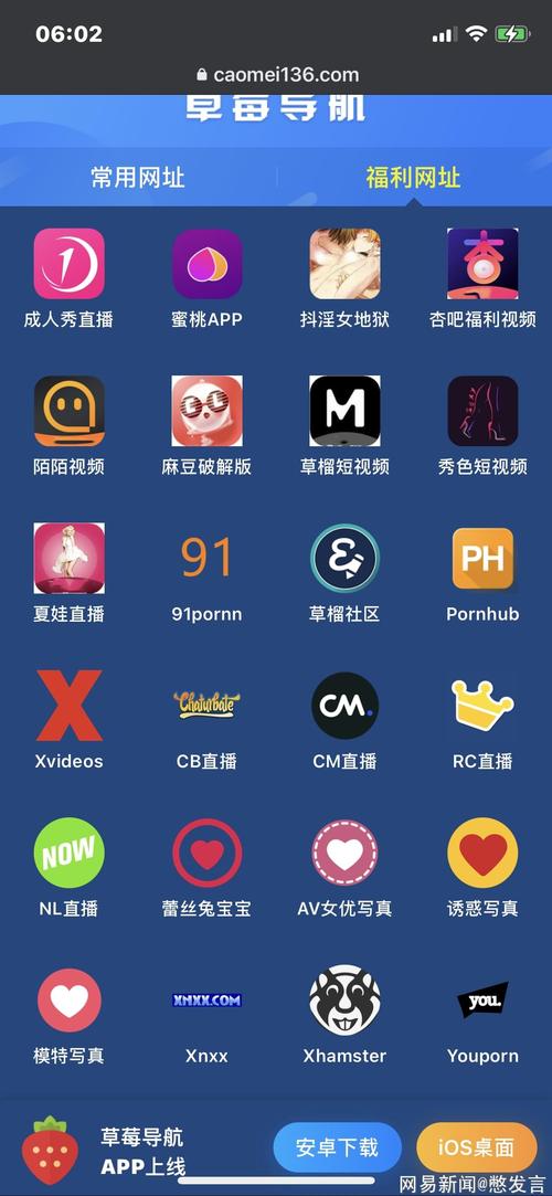 93精品久久久久久的相关介绍