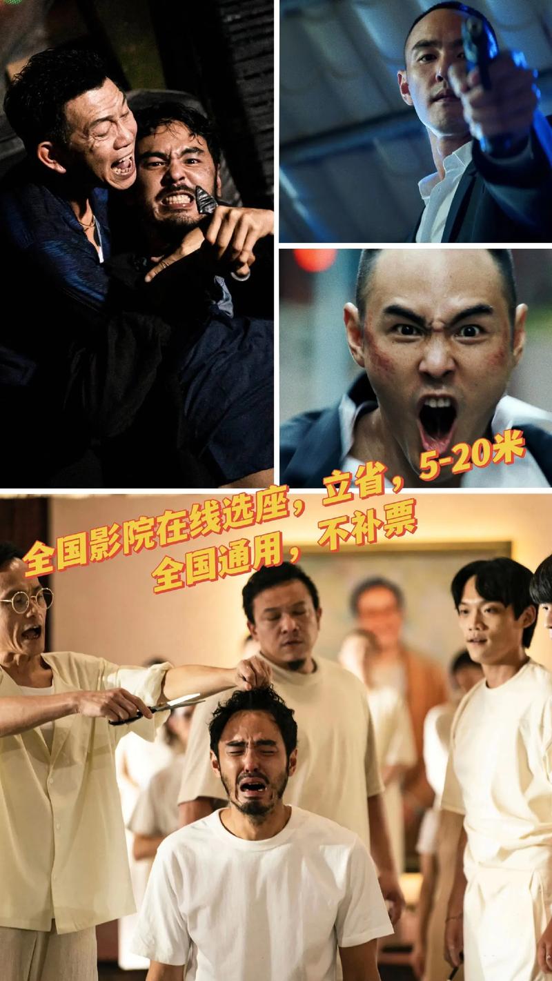 app下载的视频在哪里的相关介绍