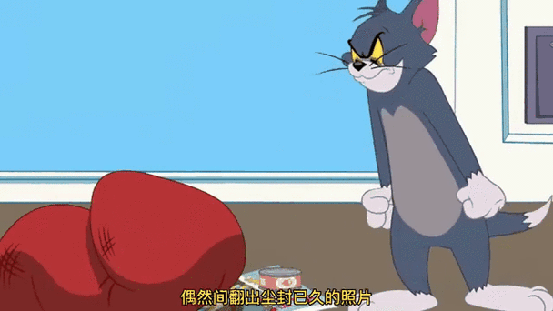 未提供的相关介绍