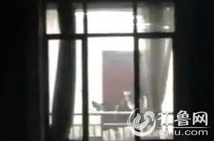 久久人妻少妇嫩草av蜜桃的相关介绍
