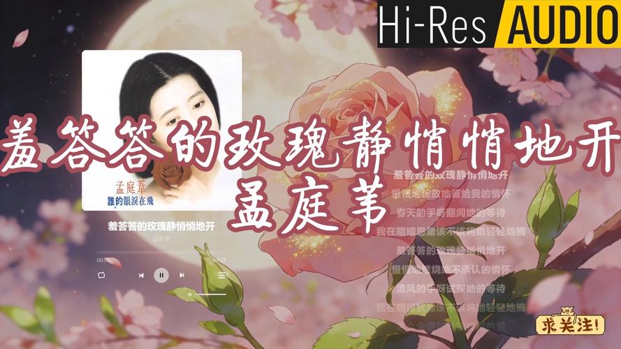夫妻啪啪毛片的相关介绍