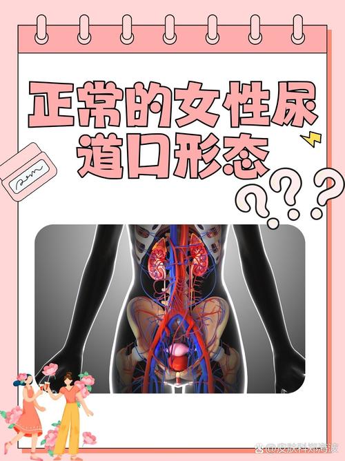 在线福利午夜的相关介绍