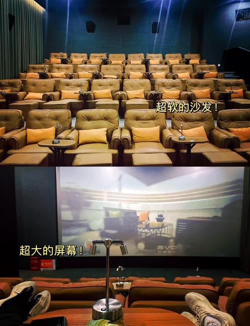 欧美成年人在线免费看的相关介绍