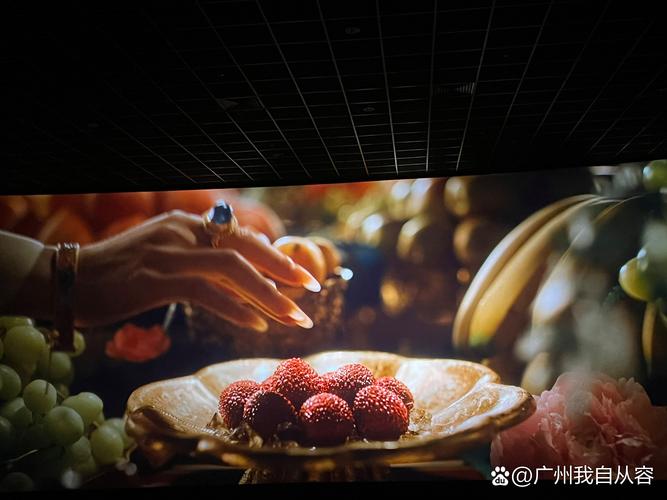 天龙影院的相关介绍